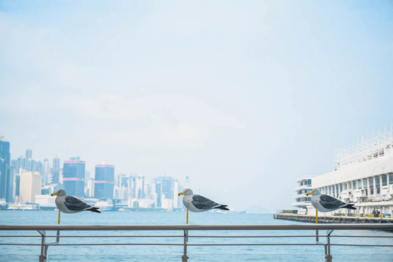 尖沙咀拍拖