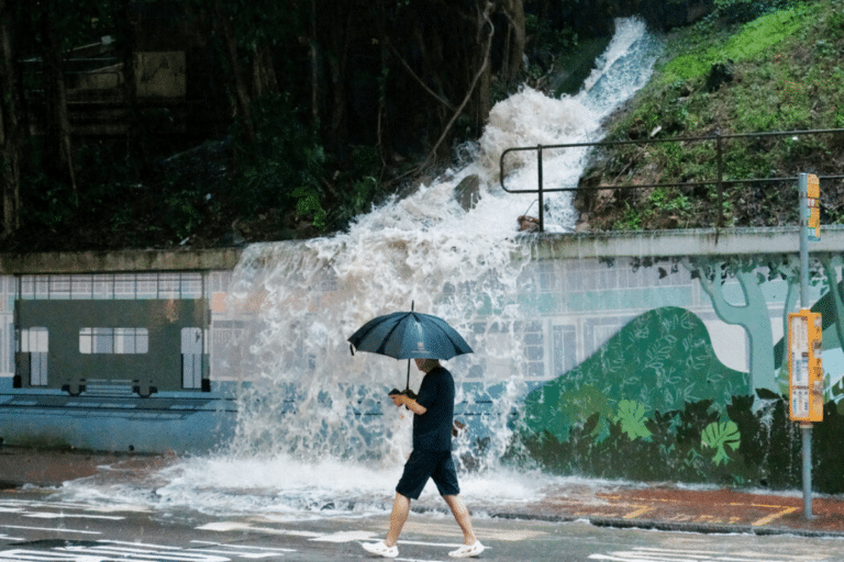 黃雨2026網民熱議
