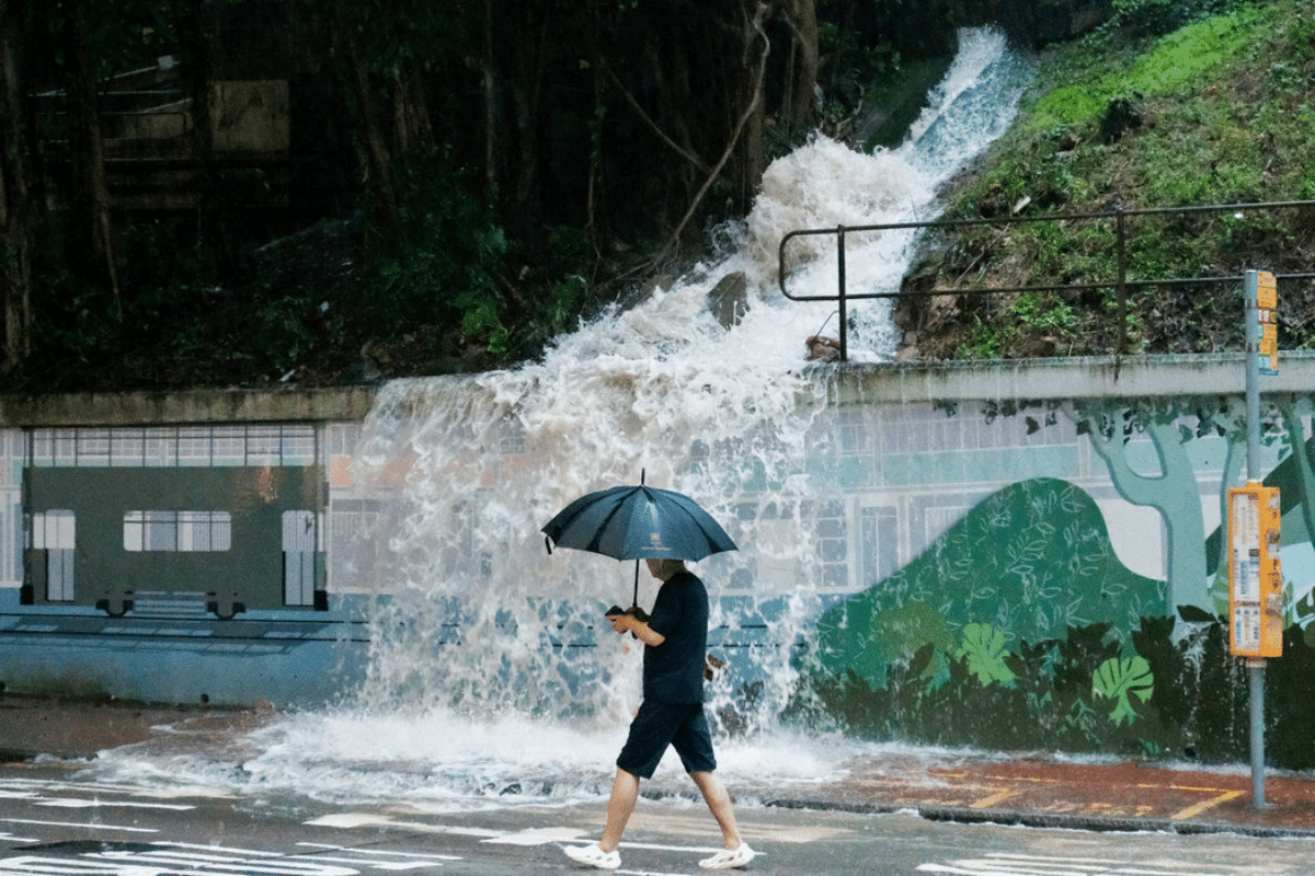 黃雨2026網民熱議