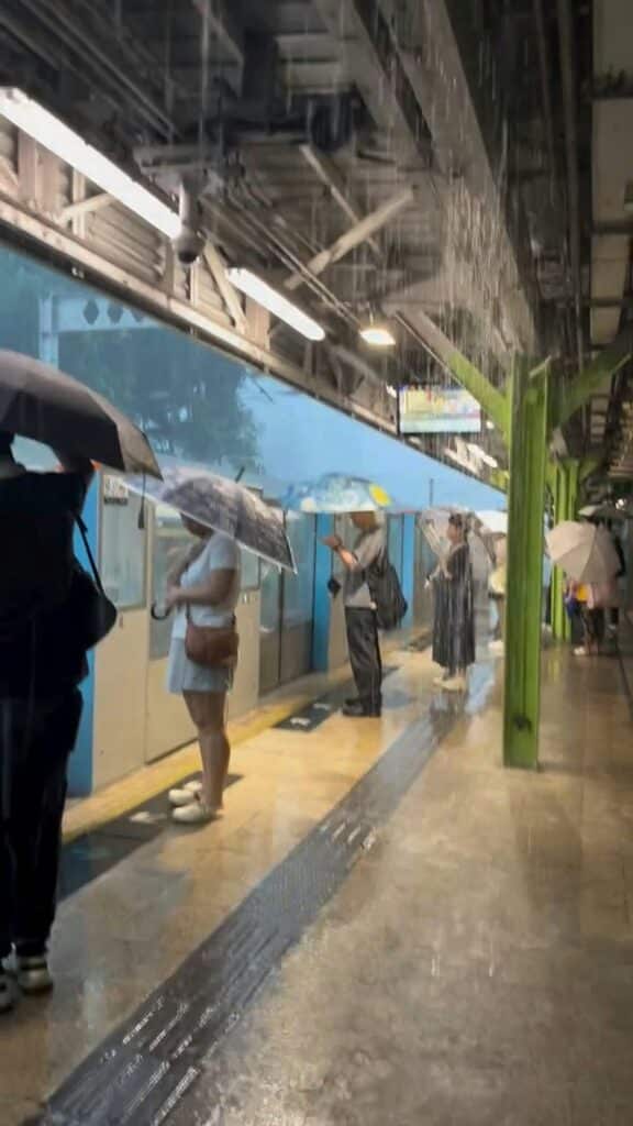 黃雨2026網民熱議