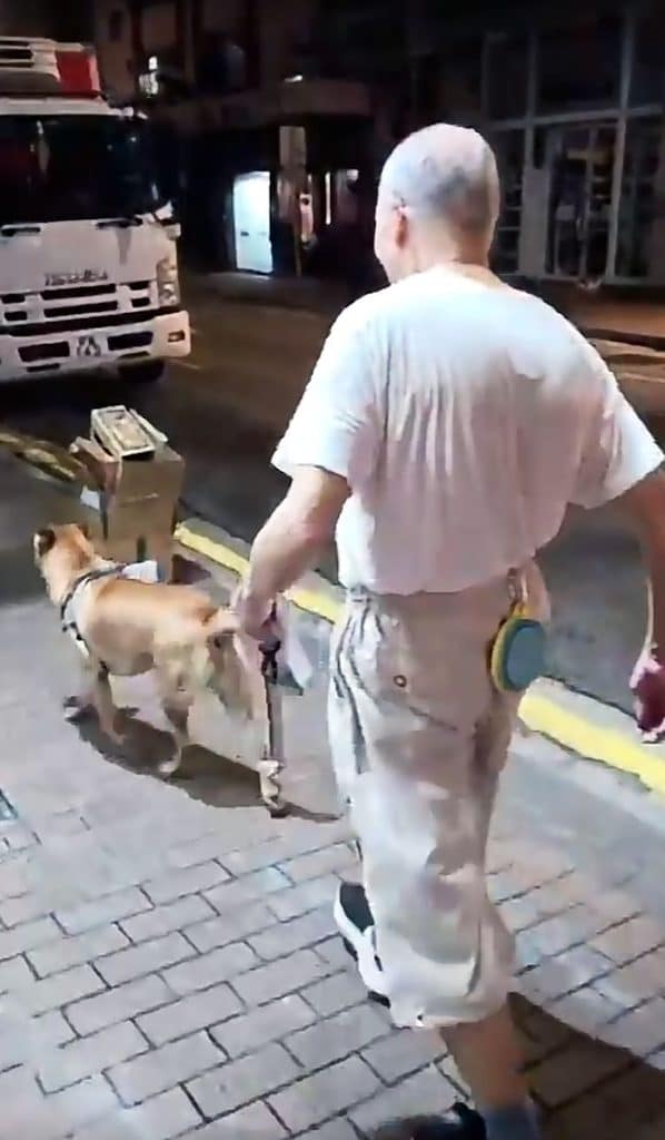 西環老翁無牽繩放狗咬人